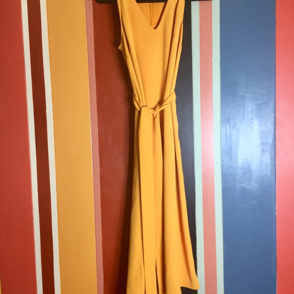 Ann Taylor Sunshine Tie Waist Midi Dress